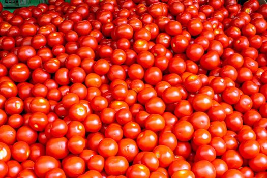 Heap of small red tomatoes for sale at a market