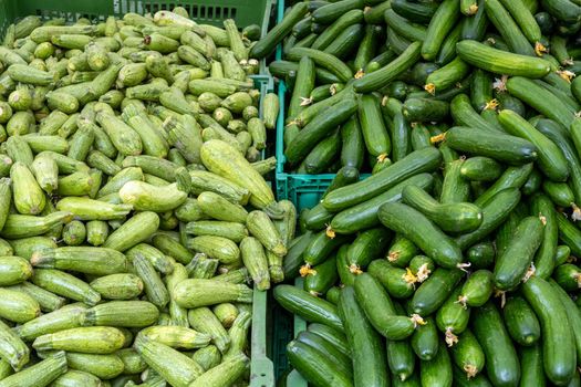 Cucumber and pickles for sale at a market
