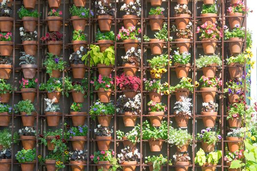 background of ceramic pots and various plants of different colors