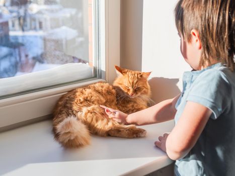 Cute ginger cat lying in bed. Fluffy pet comfortably settled to sleep. Cozy home background with funny pet.