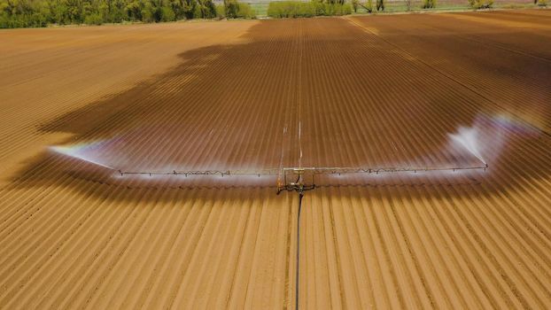 aerial view crop irrigation machine using center pivot sprinkler system. An irrigation pivot watering agricultural land. Irrigation system watering farm land.