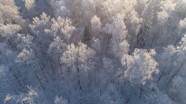 aerial view winter landscape forest covered snow, frost. Frozen branches with hoarfrost in winter forest on sunny day