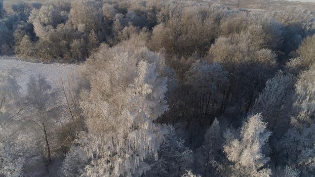 aerial view winter landscape trees covered with snow in countryside. winter forest on sunny day.