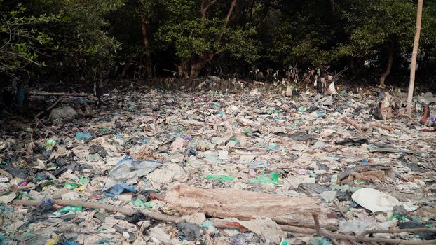 Garbage environmental pollution in mangrove ecological problem in asia. garbage, trash on shore in mangroves, all kinds, plastic bottles, styrofoam, rubber, aluminum and glass cans, java, indonesia.Garbage pollution