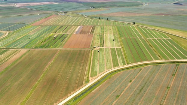 Green fields aerial view before harvest at summer. farm land with agricultural machinery.