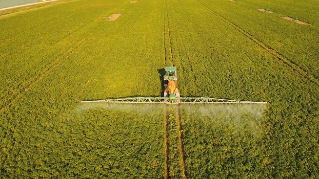 Aerial view tractor spraying the chemicals on the large green field. Spraying the herbicides on the farm land. Treatment of crops against weeds.