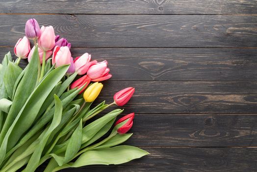 Spring concept. Tulip bouquet on black wooden background with copy space