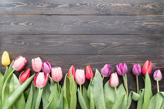 Spring, flowers concept. colorfull tulips over black wooden table background, copy space