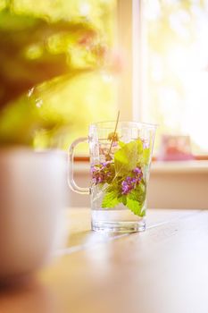 Cold jar of fresh water with delicious colorful herbs