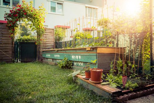 Little garden with green grass and flowers for having good times, summertime