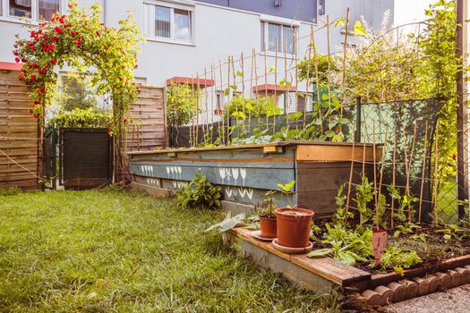 Little garden with green grass and flowers for having good times, summertime