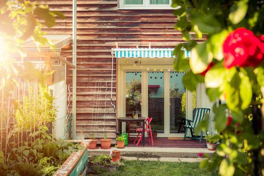 Red rose flower and small garden with raised bed in the blurry background