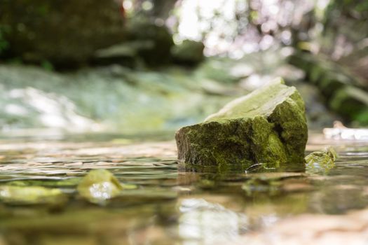 Stone lying in the water of a small mountain creek