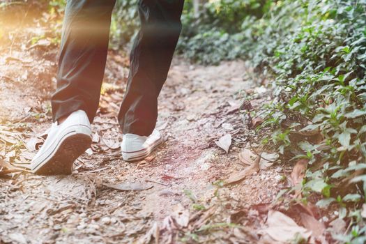 Man is walking into the wood or jungle nature walk way with sunlight.Slow life lifestyle and exercise.