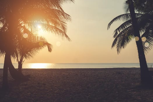 Tropical nature clean beach sunset sky time with sun light background.