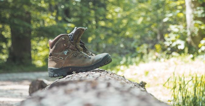 Alpine boots on a tree trunk: hiking trip in the alps, hiking holidays