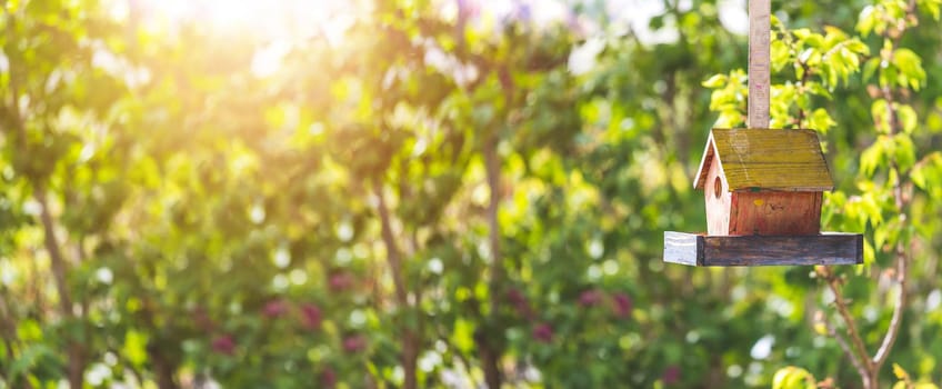 Close up of colorful wooden birdhouse hanging in the own garden; summertime. Widescreen.