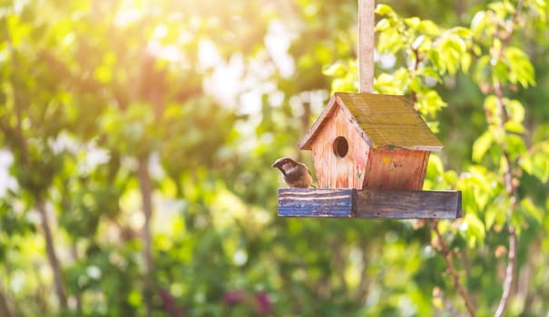 Close up of colorful wooden birdhouse hanging in the own garden, summertime