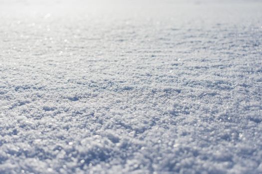 Snowy surface, the surface covered with a dense layer of snow in winter in the rays of the sun