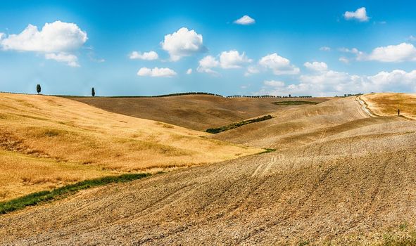 Landscape of dry fields in the countryside in Tuscany, Italy. Concept for agriculture and farmlands