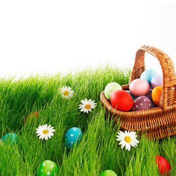 Easter basket with eggs on green meadow with flowers
