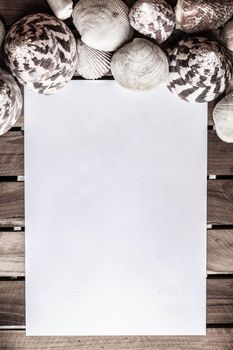 White blank paper with seashells and grunge wooden planks