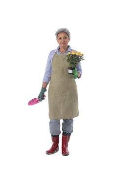 Gardening. Mature woman gardener worker with flowers in pot and scoop isolated on white background, full length portrait