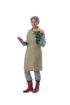 Gardening. Mature woman gardener worker with flowers in pot and scoop isolated on white background, full length portrait