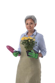 Gardening. Mature woman gardener worker with flowers in pot and scoop isolated on white background