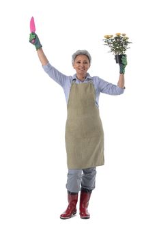 Gardening. Mature woman gardener worker with flowers in pot and scoop isolated on white background, full length portrait