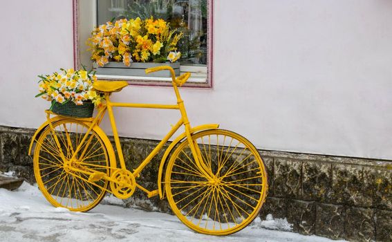 Yellow bicycle stands on the background of the wall, under the window of the flower shop, vintage style.
