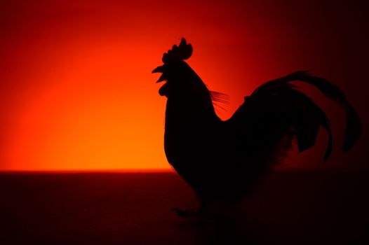 A silhouette of a Rooster during the morning red and orange hues of the sunrise.