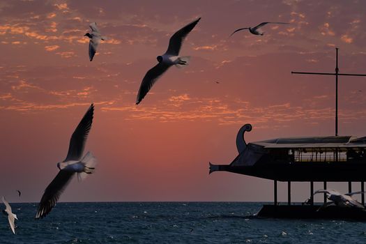 Sunset over the sea and seagulls in Yalta Crimea.