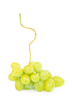 Green grape with leaves isolated on white. With clipping path.