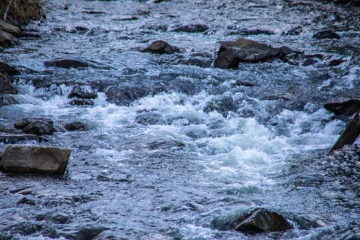 wild river in spring with spray