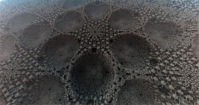 Picture of three-dimensional fractals in motion