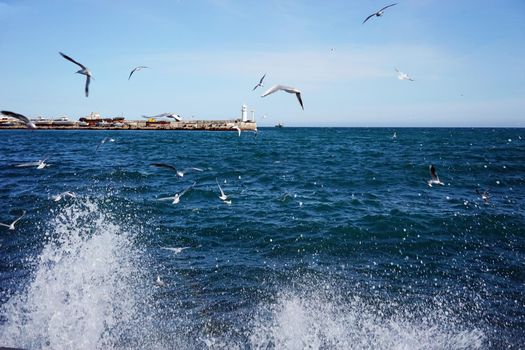 Seascape with a view of the lighthouse and gulls. Yalta, Crimea