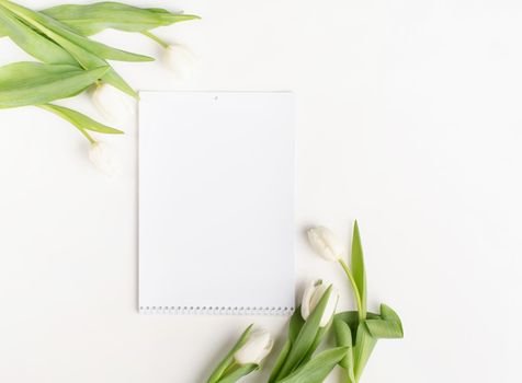Top view of blank calendar with white tulips on white background. Mock up design