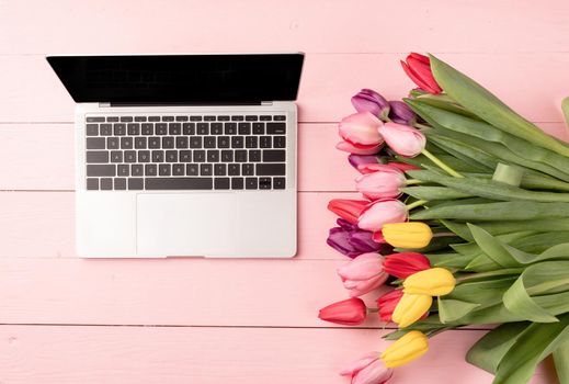 Easter and spring concept. Top view of laptop computer decorated with tulip flowers on pink wooden background