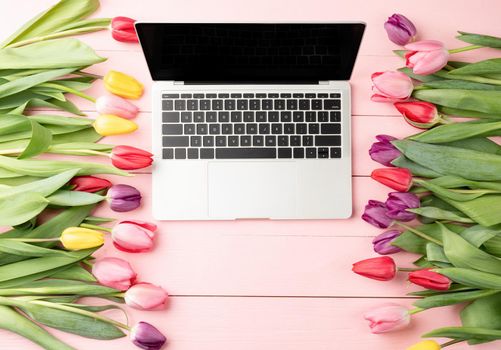 Easter and spring concept. Top view of laptop computer decorated with tulip flowers on pink wooden background