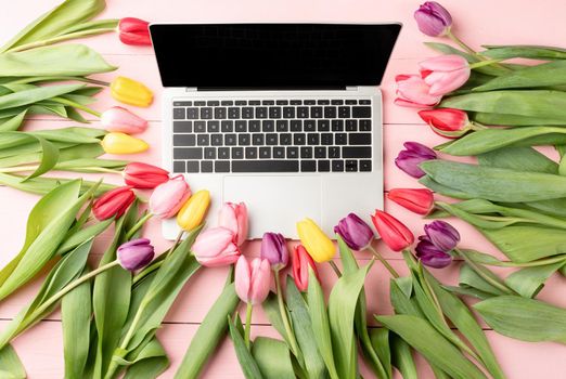 Easter and spring concept. Top view of laptop computer decorated with tulip flowers on pink wooden background