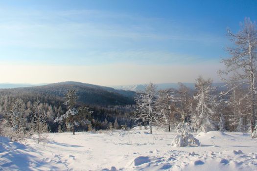 Winter snow mountain landscape with pine trees at ski resort Abzakovo region, Russia, sunny day