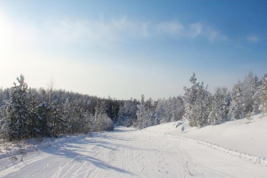 Winter snow mountain landscape with pine trees at ski resort Abzakovo region, Russia, sunny day