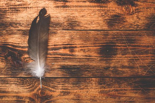 One hawk feather over old wooden table