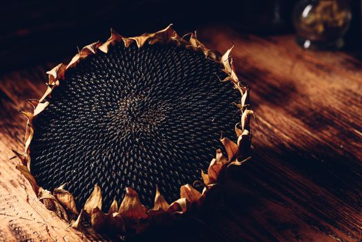 Dried sunflower head on the wooden table