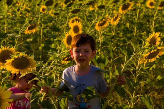 A cute boy and a baby girl playing in a field of sunflowers in the sunset