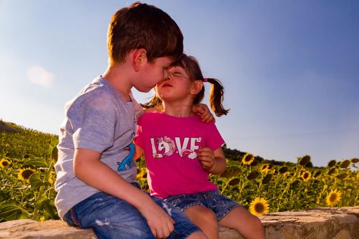 A cute boy and a baby girl kissing in front of a sunflowers field on a sunny day