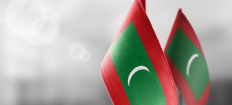 Small national flags of the Maldives on a light blurry background.