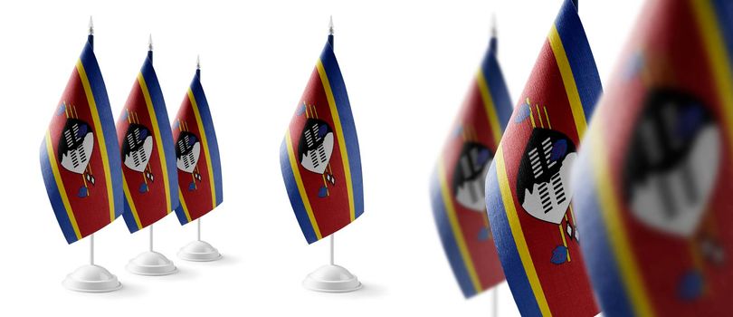 Set of Swaziland national flags on a white background.