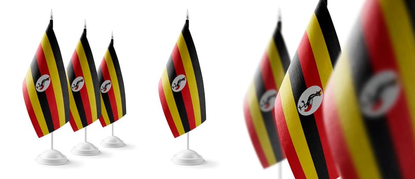 Set of Uganda national flags on a white background.